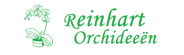Reinhart Orchideeën
